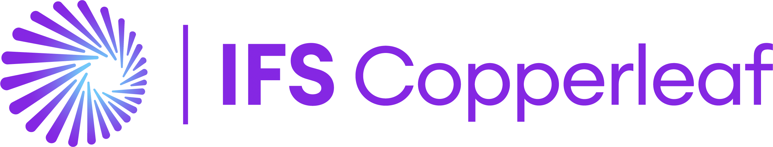 IFS Copperleaf Logo