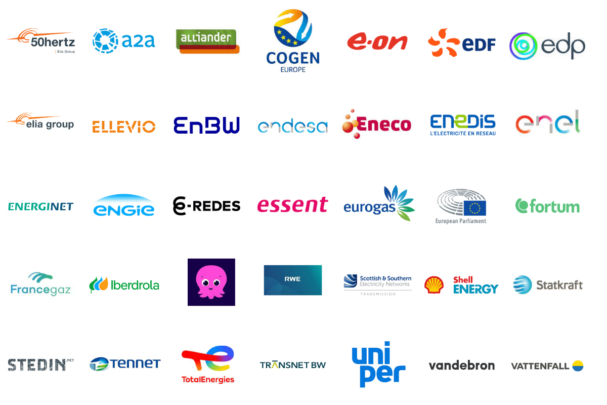 Who attends our Energy Transition Conference
