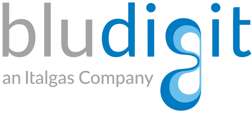 bludigit