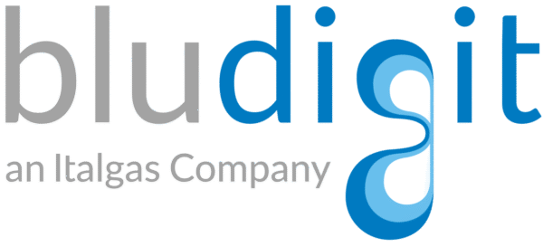 bludigit