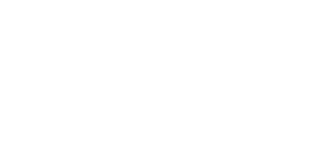 Eneco White Logo
